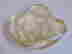 item-76190200=5
