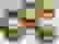 item-81188714=2