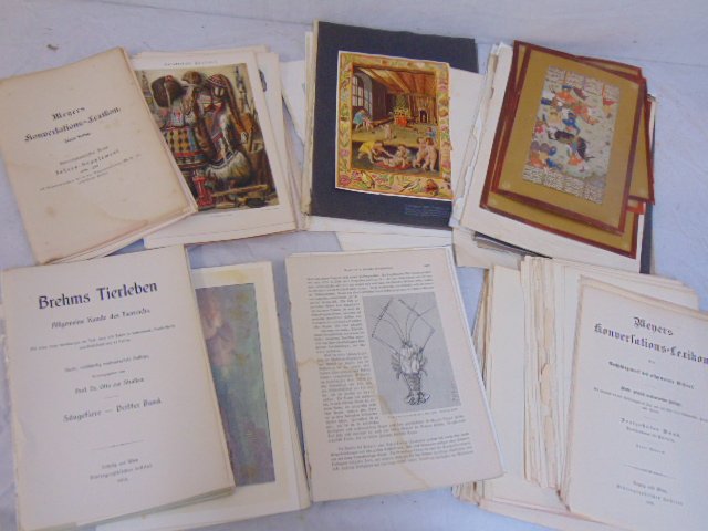 Lot prints, German booklets with nature drawings: Lot prints, German booklets with nature drawings, also includes Islamic prints