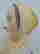 item-82509891=3