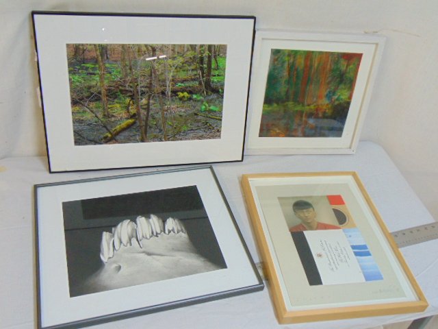 Art lot, mixed Media, photo's, Ivan Chermayeff collage,: Art lot, mixed Media, photo's, Ivan Chermayeff collage, "Jockey", 15" by 11"; charcoal drawing, "Tooth", by Erica Child, 1994, 11" by 14"; pastel, forest scene, signed illegibly & photograph.