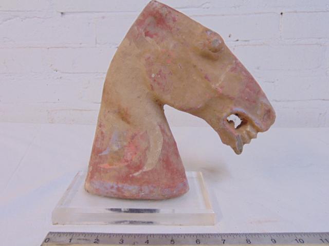 Chinese terracotta horse head, tomb horse, Tang (Han (1 of 6)