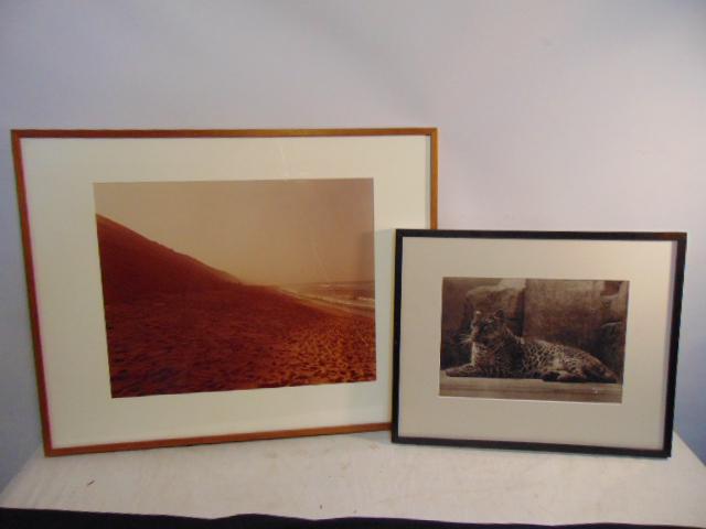 2 photographs, Leopard, signed Dixon (Henry), 9" by (1 of 7)