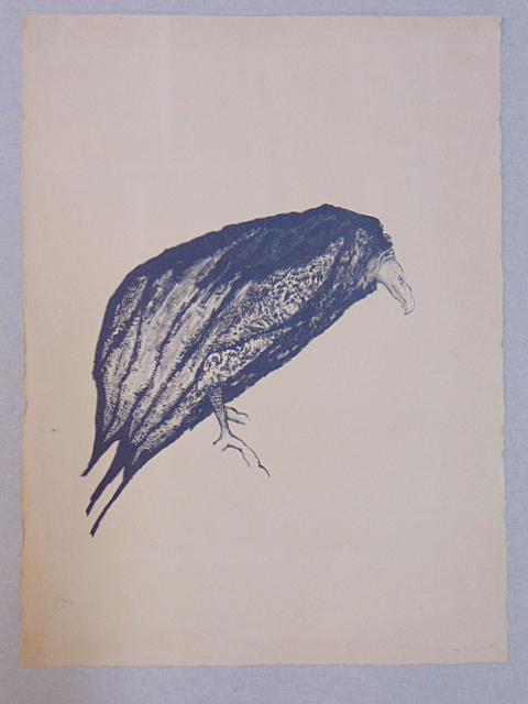 Print, Vulture, bird, Aubrey Schwartz, has two small tears, milkweed etching, 30" by 22.25", (1 of 6)
