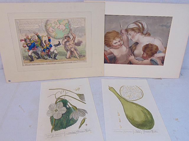 4 etchings, botanical, Napoleonic satirical etching, "Grasp all Loose All, Atlas Enraged-or the (1 of 16)