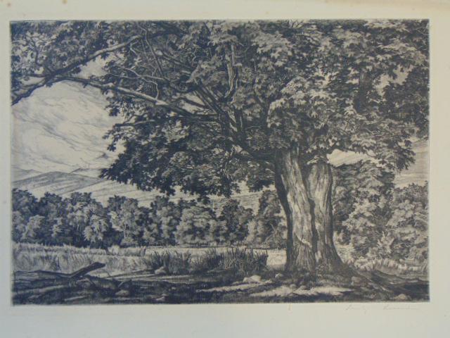 Etching, large tree in landscape, Luigi Lucioni, 13.25" by 18 7/8", (10.5" by 15.5"), some foxing in (1 of 7)