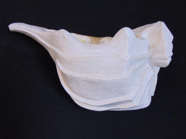 Serge Roche sea shell shaped planter, in plaster, hanging wall planter in shell form, 18.5" long.: Serge Roche sea shell shaped planter, in plaster, hanging wall planter in shell form, 18.5" long.