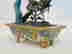 item-131035014=4
