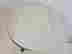 item-131035282=4