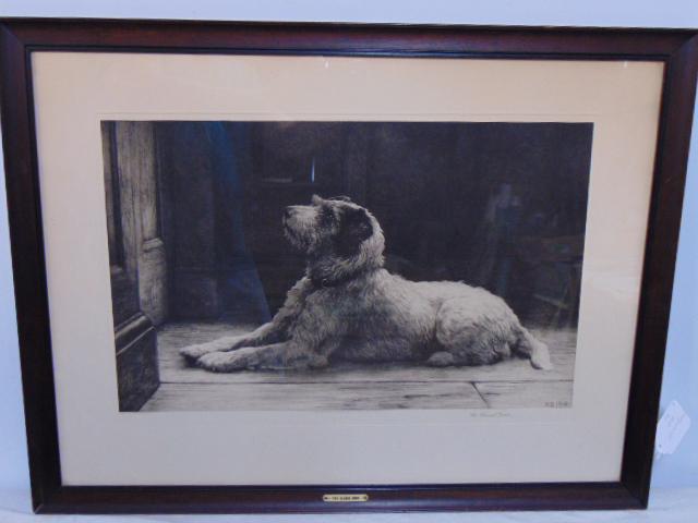 Etching, Herbert Thomas Dicksee, "The Closed Door" (an alert recumbent patient terrier), 14.5" by (1 of 6)