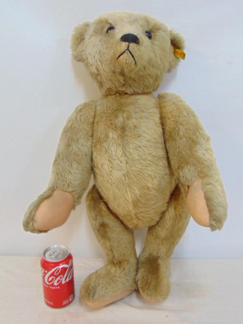 Large Steiff teddy bear, light fur, wear around nose, with tag, button, 0155/60, height is 24": Large Steiff teddy bear, light fur, wear around nose, with tag, button, 0155/60, height is 24"