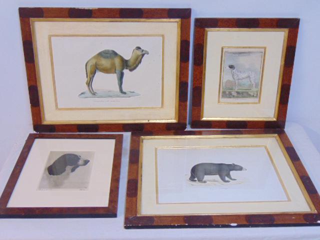 4 animal etchings, lithographs, "Dromadaire", Dog portrait signed Bert Cohn, early dog etching, "Le (1 of 5)