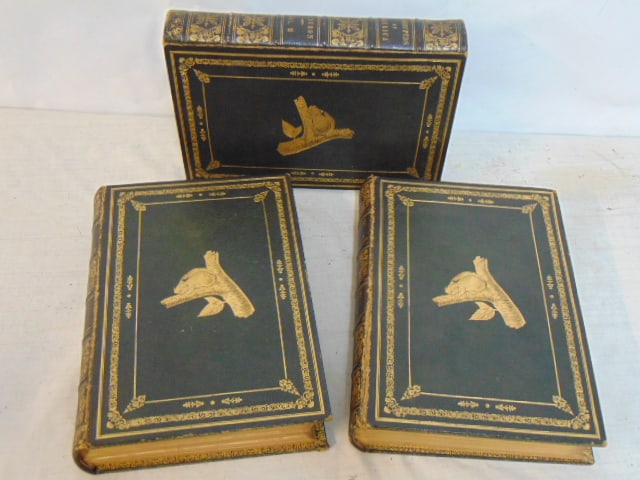 Set 3 Audubon leather bound books, "Quadrupeds of America", by John James Audubon, 1854, spine of (1 of 6)