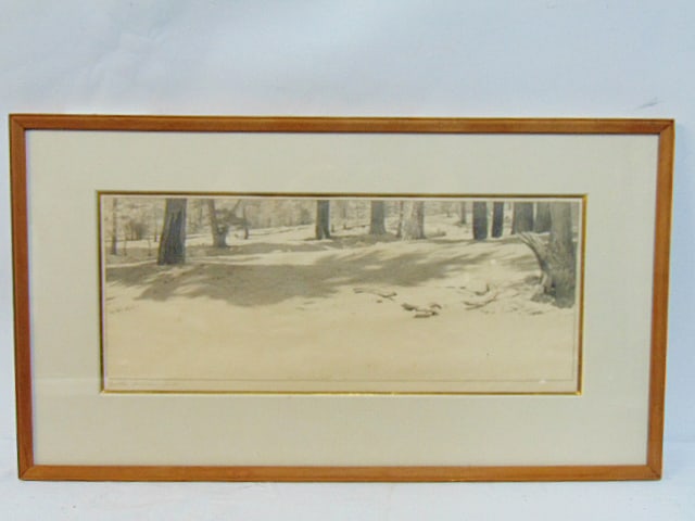 Lithograph, "The Floor of the Forest", signed Bolton Brown, 6.5" by 17.25" (sight): Lithograph, "The Floor of the Forest", signed Bolton Brown, 6.5" by 17.25" (sight)
