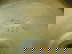item-194820731=7
