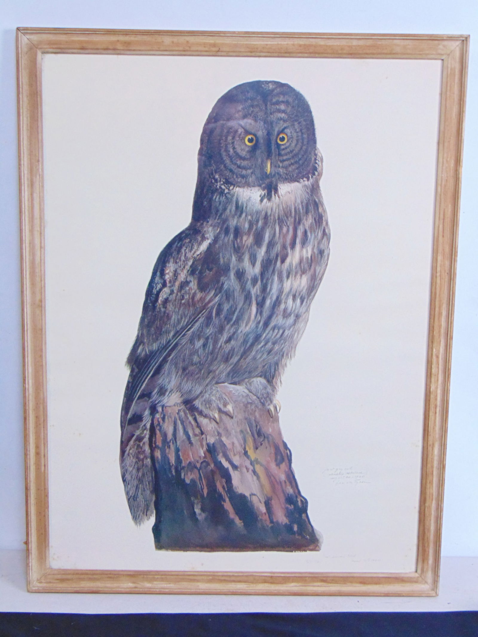 Off set lithograph, "Great Grey Owl", by Carroll Sargent Tyson, plate 136, 1920, 29" by 21.25", Made (1 of 6)