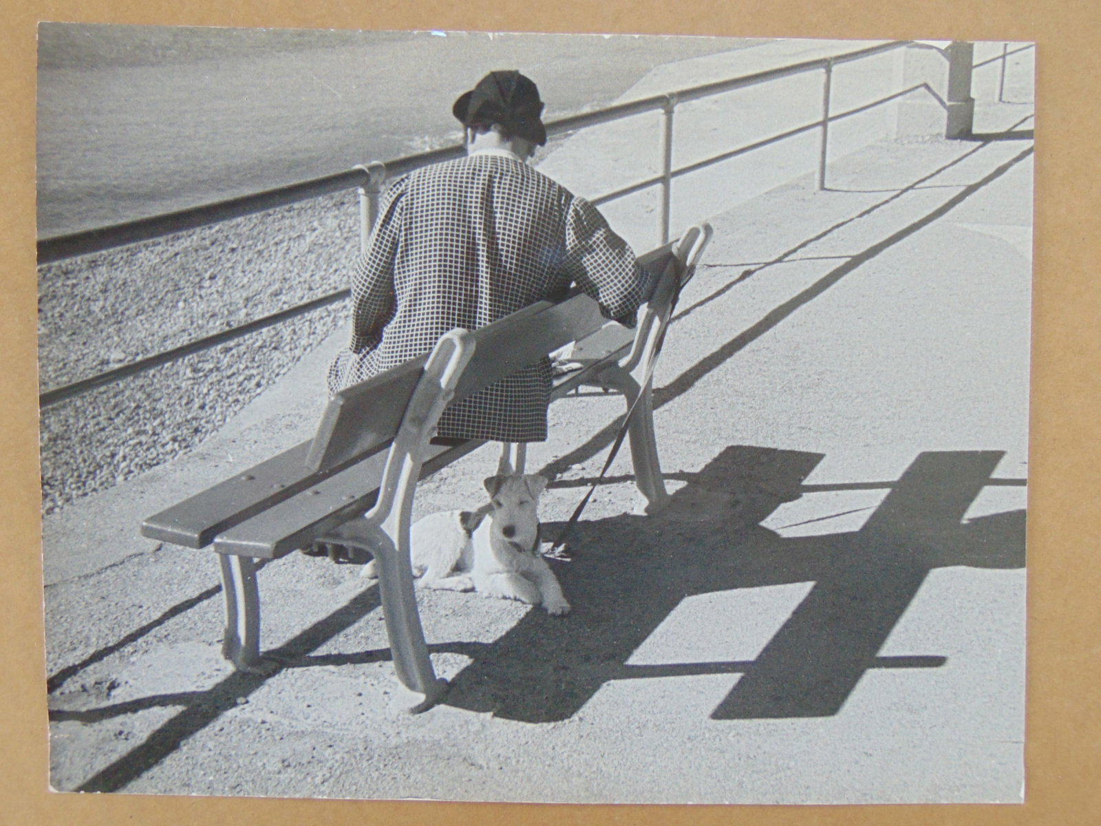 Photograph, Bordighera Passeggiata a Mare, vintage photograph, man on a bench with a small dog, no: Photograph, Bordighera Passeggiata a Mare, vintage photograph, man on a bench with a small dog, no markings, no copyright, 7" by 9". NOTE, all photographs in this auction are original, not reprints, s