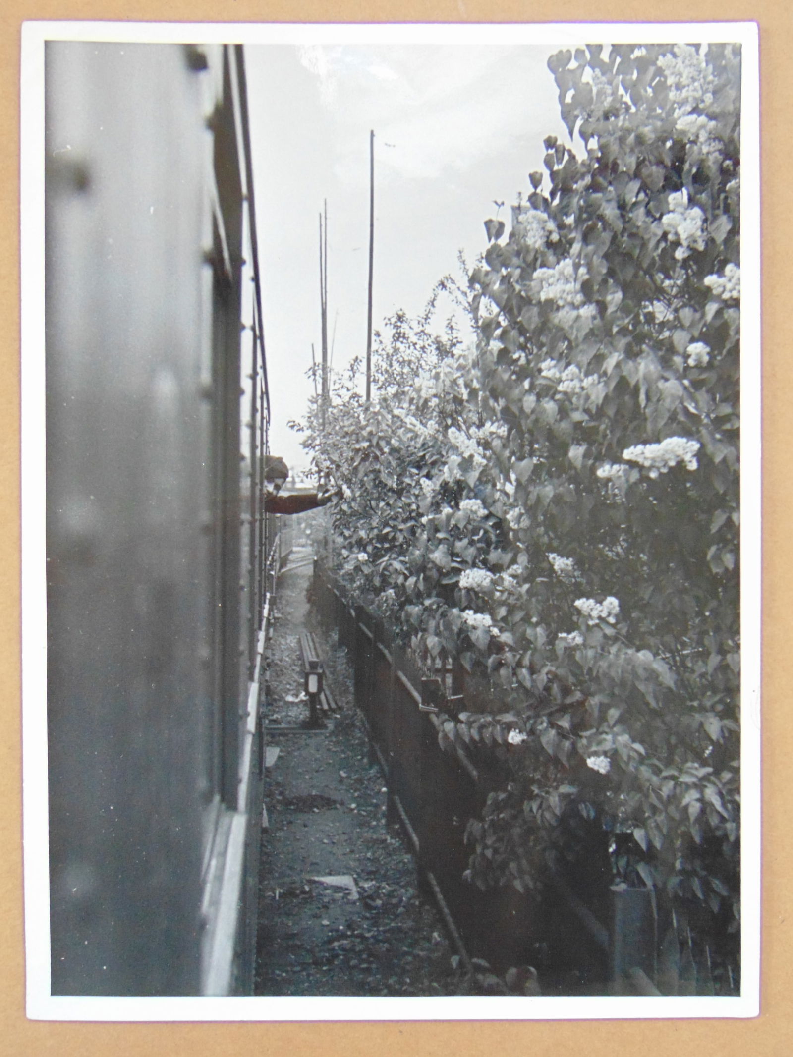 Photograph, attributed to Alfred Eisenstaedt, "En route to Stockholm, 1934", figure waving from (1 of 4)
