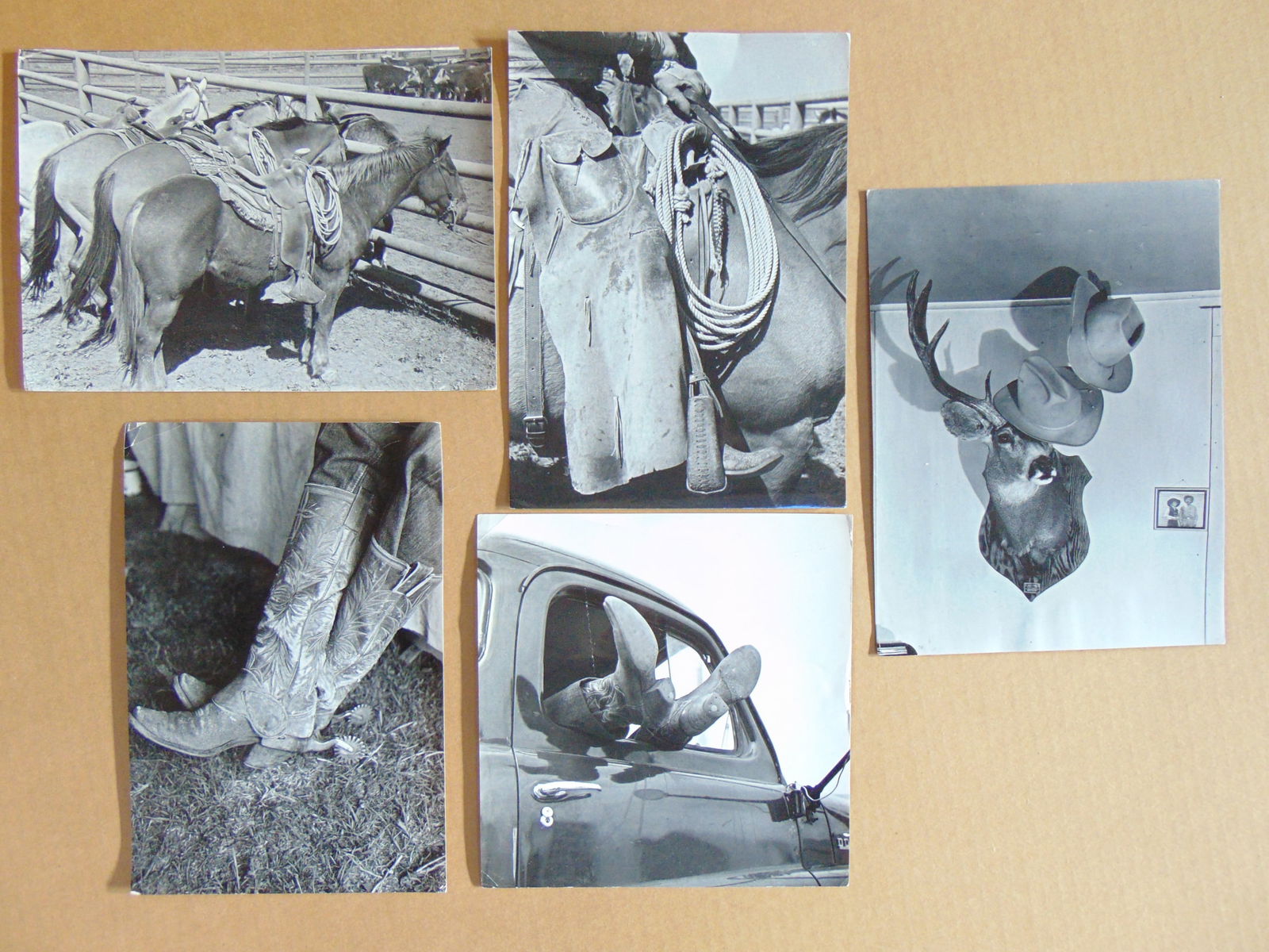 5 Western cowboy compositions, Standard Oil Co Inc. includes "Deer head used as hat rack in ranch (1 of 8)