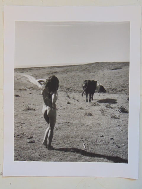 Large photograph print, Bruce Weber's Female Nude Lisa Marie with Cows, photo art, 20" by 15 7/8": Large photograph print, Bruce Weber's Female Nude Lisa Marie with Cows, photo art, 20" by 15 7/8"