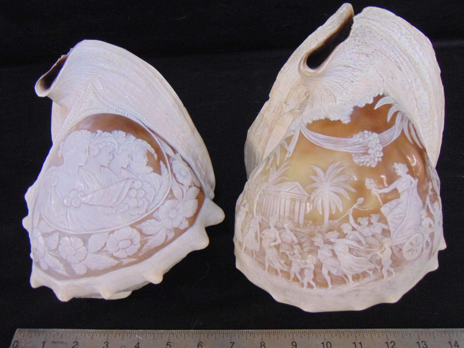 2 large cameo cut seashells, larger shell is carved with neo-classical scenes with dancing figures, (1 of 13)