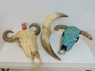 Skulls & horns, skull decorated with turquoise chips, horned skull & two large single horns.