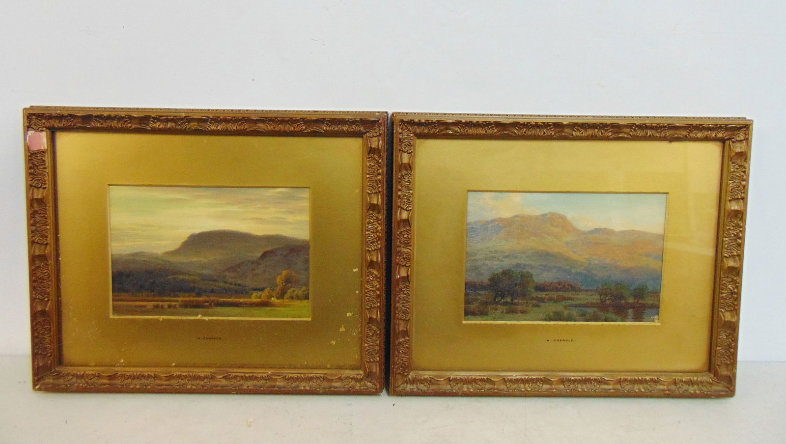 Pair paintings, mountain landscapes, H. Cheadle (Henry), oil on canvas (board ?), with labels on (1 of 8)