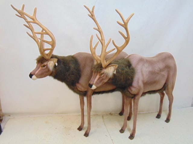Pair large 3/4 size Hansa reindeer, with original tags, reindeer are 53" long, 12.5" wide, height: Pair large 3/4 size Hansa reindeer, with original tags, reindeer are 53" long, 12.5" wide, height (at antlers) is 56.5", good condition