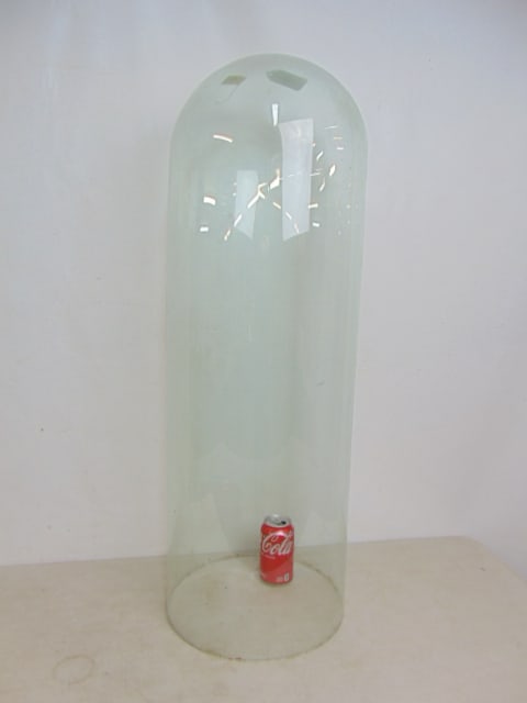 Large glass dome, height is 36.5", diameter is 12 5/8" (1 of 3)