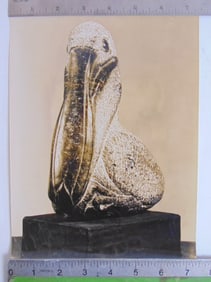 Photograph by Soichi Sunami, subject stone carving "Young Pelican" by Mark Morrison, photograph is