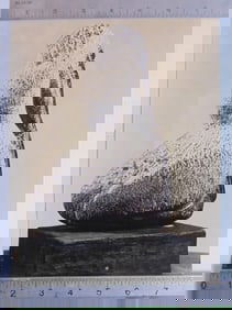 Photograph by Soichi Sunami, subject stone carving "Young Pelican" by Mark Morrison, photograph is