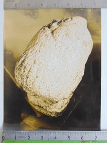 Photograph by Soichi Sunami, subject stone carving by Mark Morrison, photograph is 9.5" by 7 3/8""