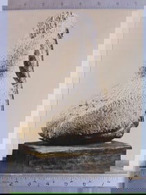 Photograph by Soichi Sunami, subject stone carving, Pelican by Mark Morrison, photograph is 9.5" by