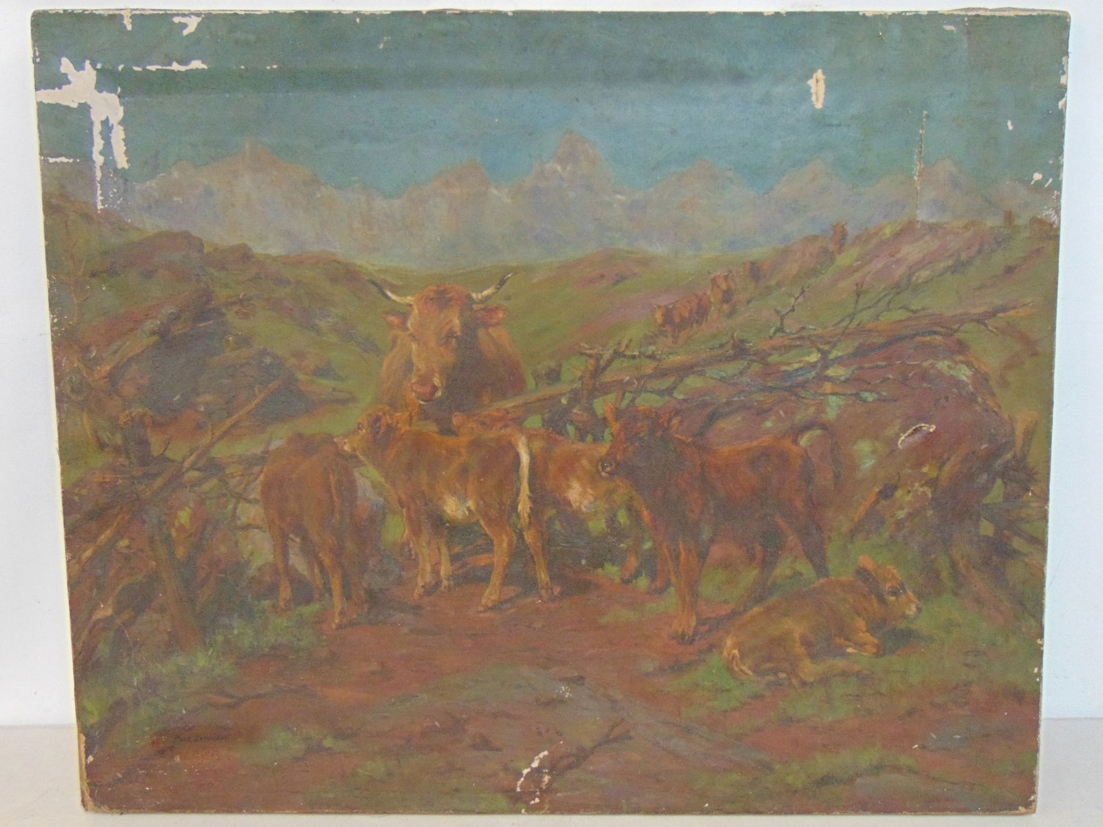 Painting, cattle, cows in landscape, signed Rosa Bonheur, oil on canvas, has several tears, loss of: Painting, cattle, cows in landscape, signed Rosa Bonheur, oil on canvas, has several tears, loss of paint, flaking upper left corner, canvas is 26" by 32"