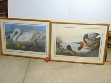 2 large Audubon prints, framed
