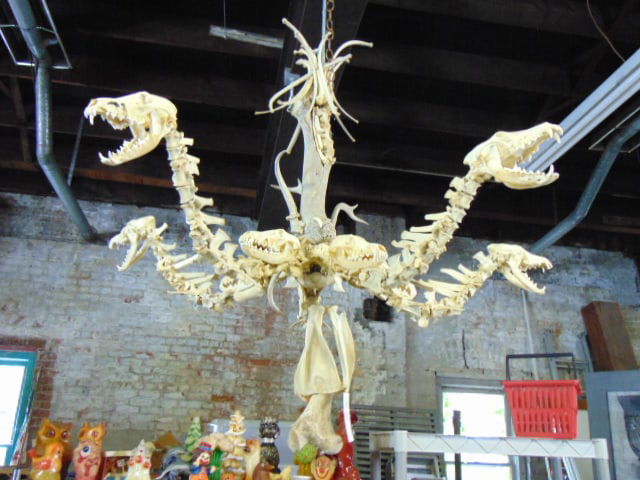 Bone and skull fixture: Bone and skull fixture