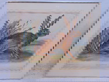 Audubon print, "Lepus Californicus, Gray", rabbit, 1847, print is 20" by 24.5" (sight), total framed