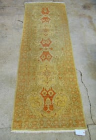 Runner, light colored rug, in light green with red highlights, carpet is 10'4" by 36"