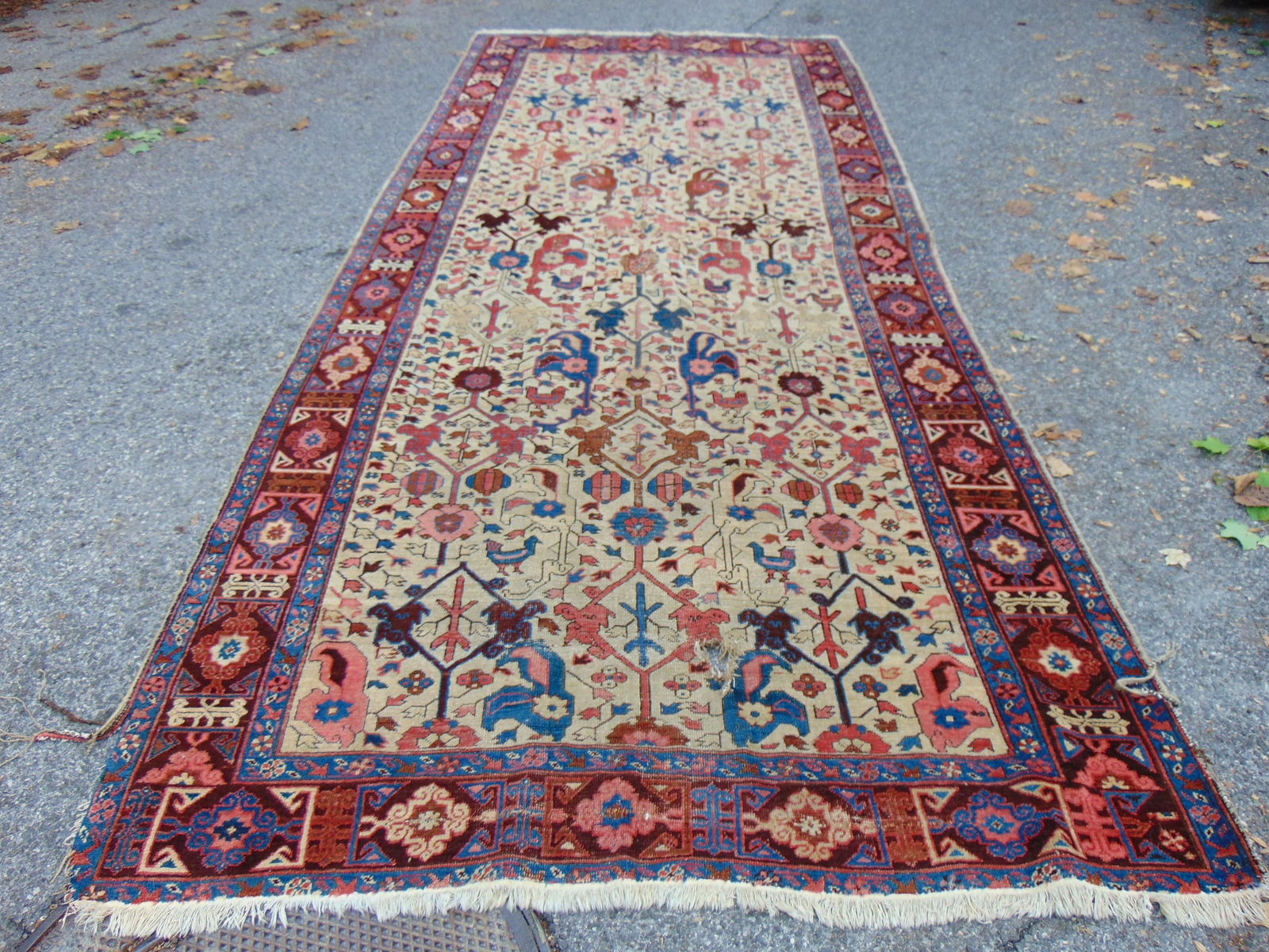 Persian carpet, worn, has hole, rug is 74" by 174" (1 of 8)