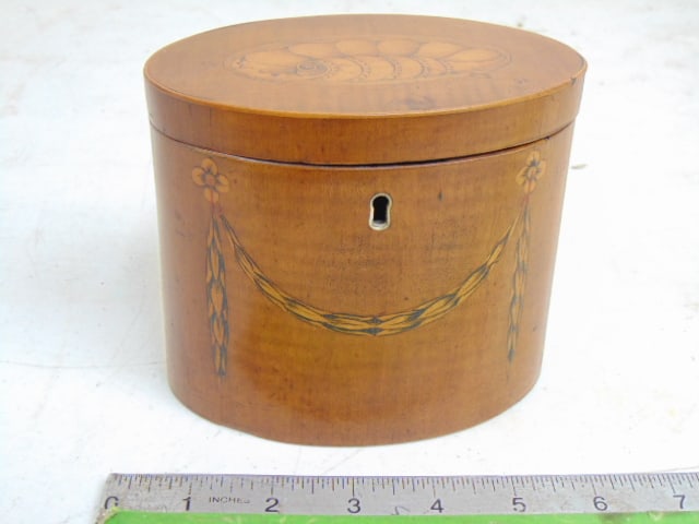 Sheraton oval inlaid caddy with seashell pattern inlay on lid, lock missing, 5.5" wide, 3.5" deep,: Sheraton oval inlaid caddy with seashell pattern inlay on lid, lock missing, 5.5" wide, 3.5" deep, height is 4 5/8"