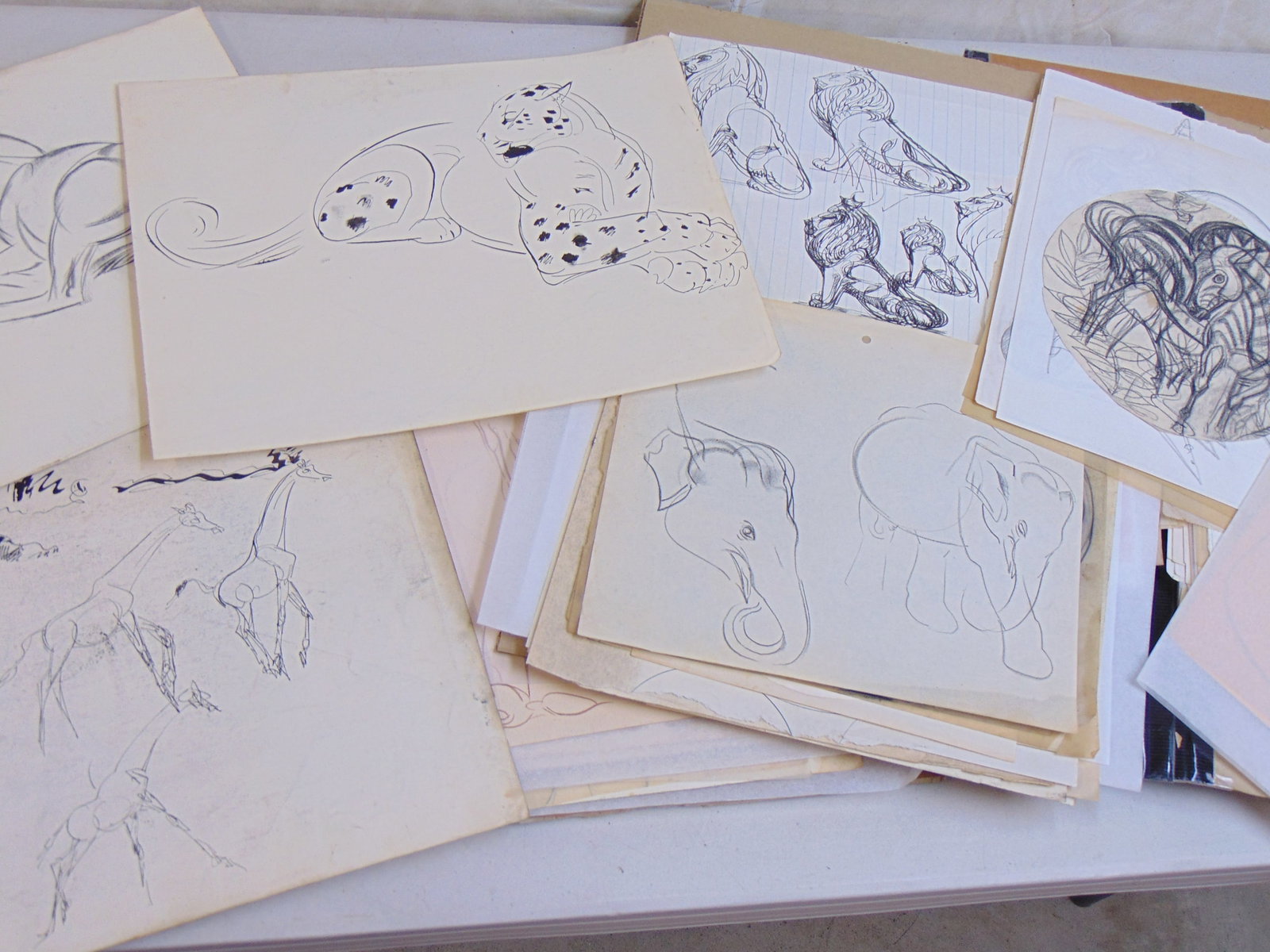 Various drawings by Walter Addison, illustrator hired by Bronx Zoo / Official artist, 1940, includes: Various drawings by Walter Addison, illustrator hired by Bronx Zoo / Official artist, 1940, includes studies of various zoo animals, lions, elephants, bears, more!