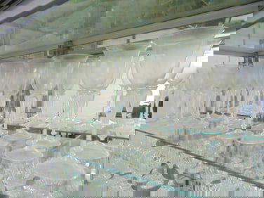 Lot Venetian stemware by Salviati, monogrammed, 10 tall stems 9.25" & 13 slightly smaller stems are