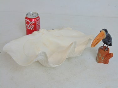 Large clam shell & carved mixed stone toucan, shell is 15.25" wide, toucan sculpture is 6.25" tall