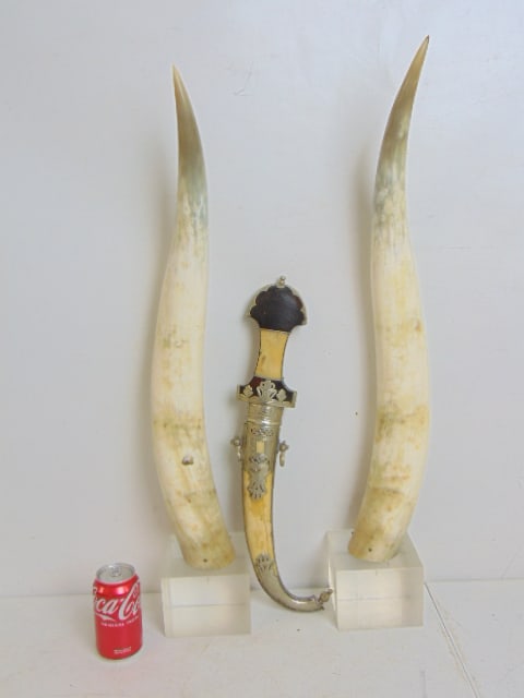 Pair large horns on Lucite bases & decorative Persian dagger, horns are 31.5" tall, dagger is 20": Pair large horns on Lucite bases & decorative Persian dagger, horns are 31.5" tall, dagger is 20"
