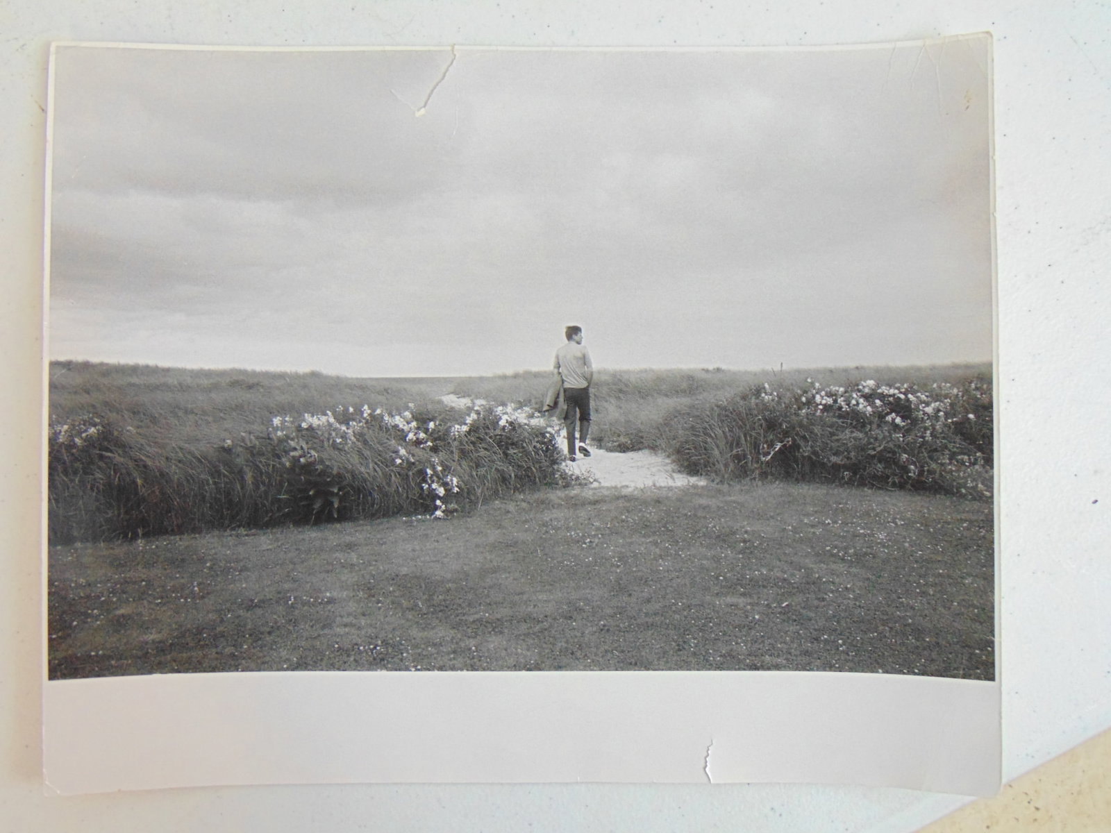 Photograph, John F. Kennedy in a field, by Mark Shaw, 11" by 13 5/8", has several fold marks and a s: Photograph, John F. Kennedy in a field, by Mark Shaw, 11" by 13 5/8", has several fold marks and a small tear