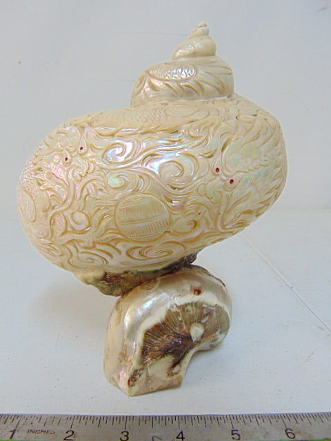 Carved seashell, carved with dragons, 7.5" tall, (1 of 6)