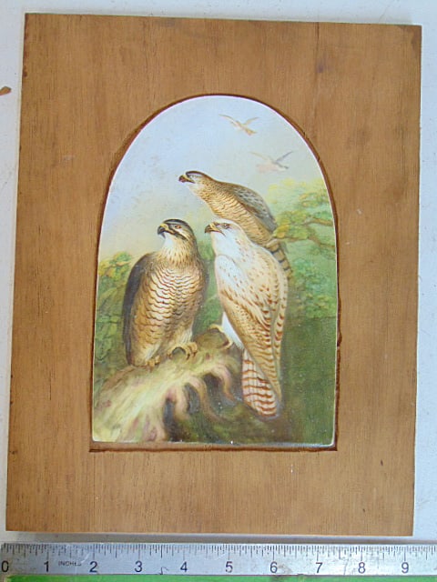 Painted porcelain plaque, 3 birds of prey, hawks, unsigned, in wood frame, plaque is 7 7/8" by 5 (1 of 4)