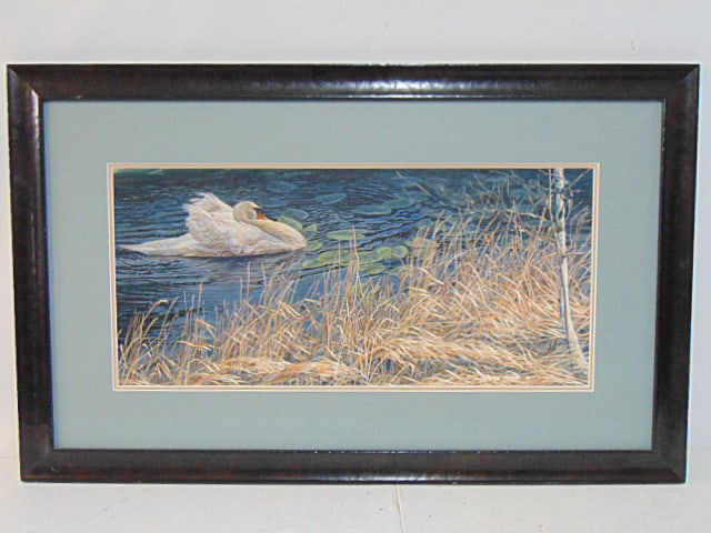 Painting, Swan in water, signed Peter Panse, watercolor, 13.5" by 29.5", framed size is 26" by 42" (1 of 5)