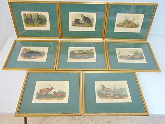 Set 8 small Audubon animal prints, American Beaver, Striped Squirrels; American Elk, American Black (1 of 8)
