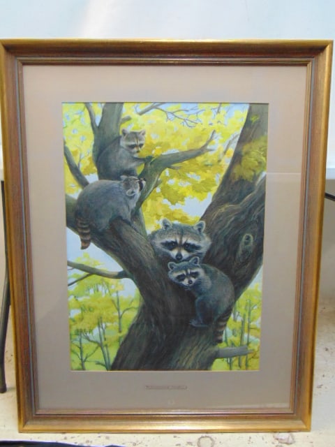 Painting, "Theodora's Family", unsigned, watercolor, showing 4 raccoons in a tree, 29" by 21", (1 of 4)